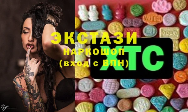 гидра Аркадак
