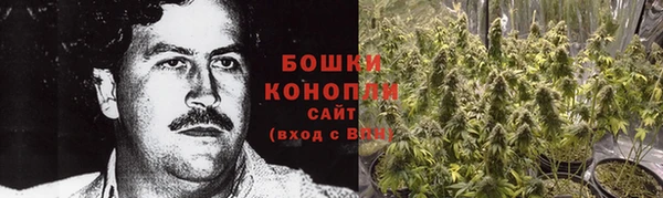 гидра Аркадак
