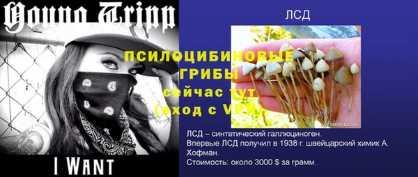 ALPHA-PVP Армянск