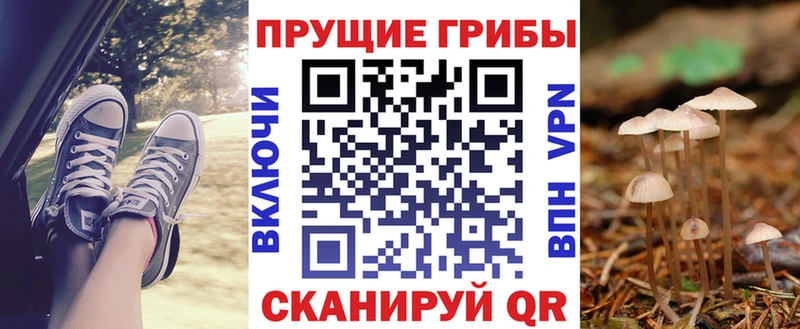 hydra вход  Оса  Галлюциногенные грибы ЛСД  купить  сайты 